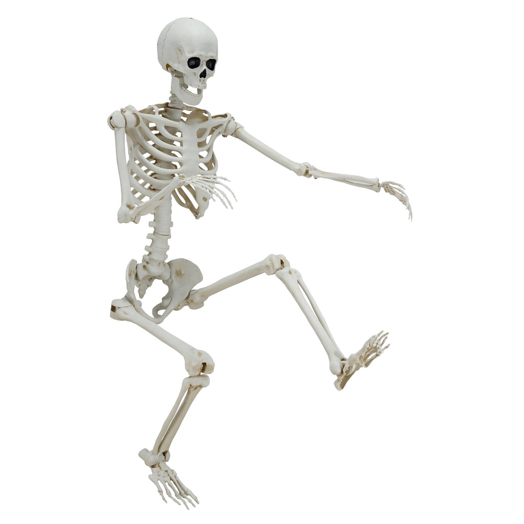 Haunt & Co Hanging Posable Skeleton Decoration, White, 5', Halloween