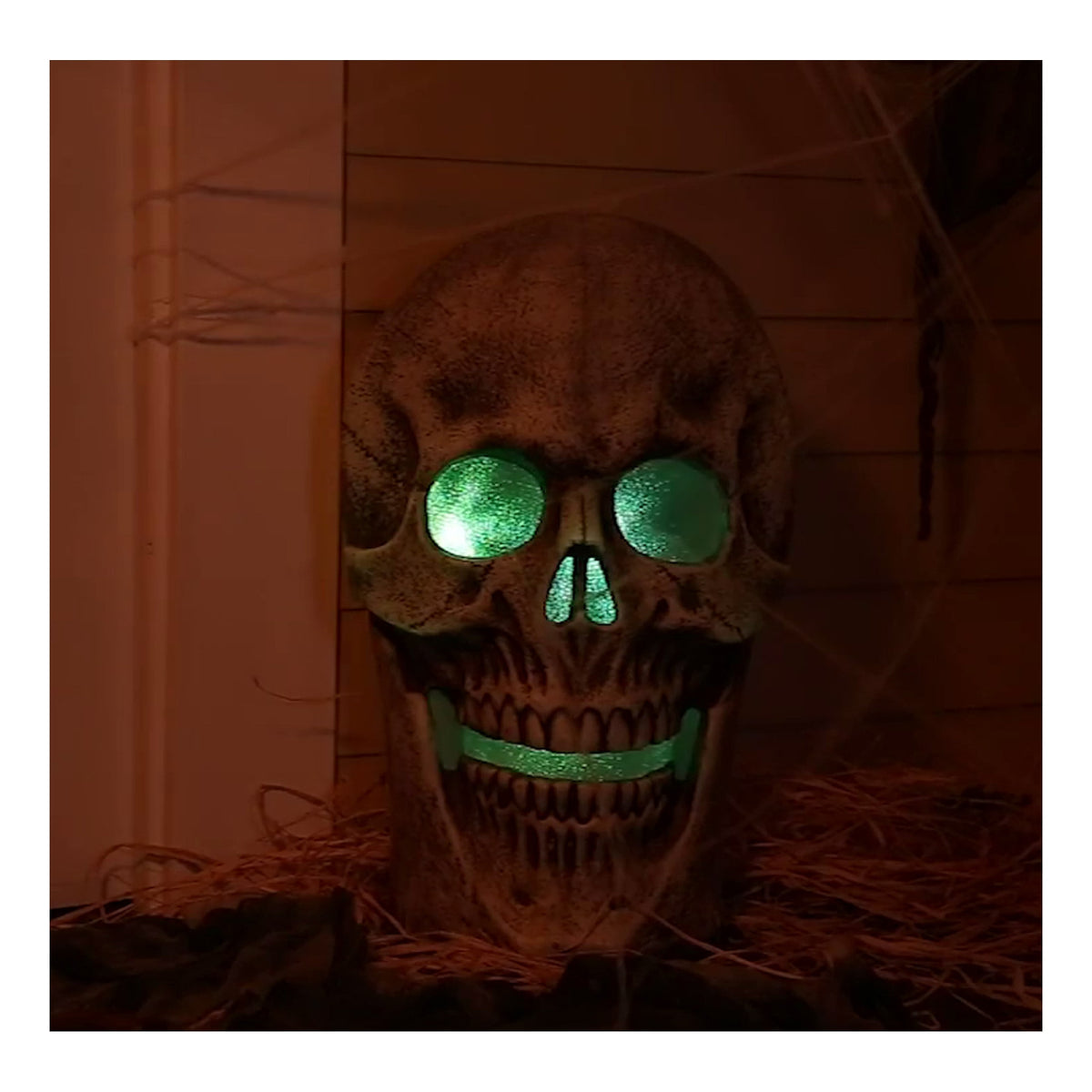 Haunt & Co Halloween Plastic Tabletop Decor