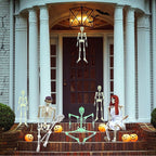 Haunt & Co Deago 4 Pack Halloween Hanging Luminous Skeleton Decorations 5 Ft Full Body Glow-in-The-Dark Poseable Skeleton for Outdoor Yard Garden Hanging Halloween Props