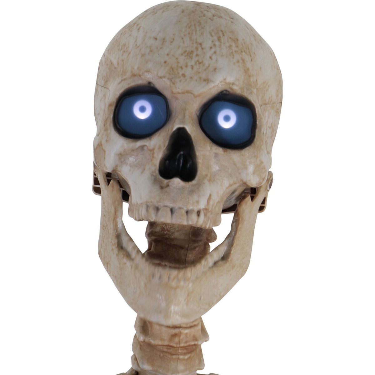 Haunt & Co 8 ft Tall Motion-Activated Towering Skeleton, Premium Talking Halloween Animatronic Decoration, Plug-In