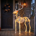 Haunt & Co LED Illuminated Deer Skeleton, 60-inch